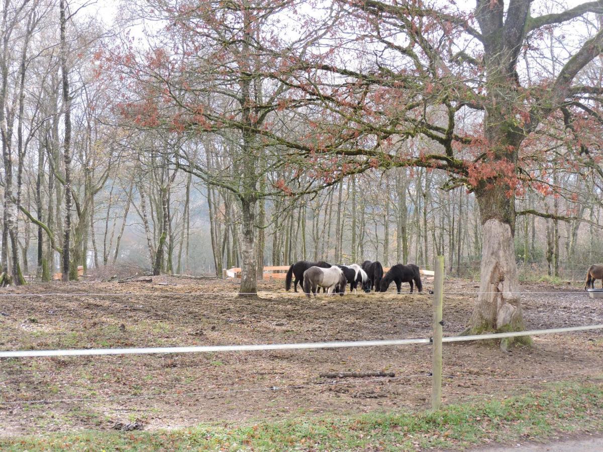 Saint-Agnan Domaine Du Bois Du Loup公寓 外观 照片